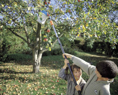 Nie wieder gießen! Der Automatische Garten der Firma Gartenwicht übernimmt das für Sie! - Frank Westermaier berät Sie! Gardena Sprinkleranlagen und Gardena Versenkregner! Wir gießen Ihren Garten in Olching Emmering und im Raum fürstenfeldbruck!